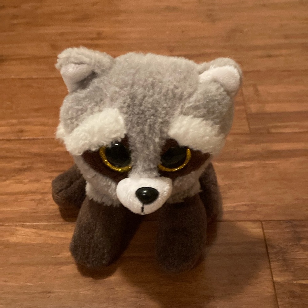 Bandit the raccoon